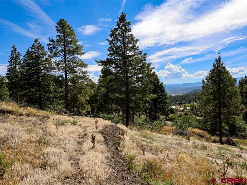 27 D Place Pagosa Springs CO 81147