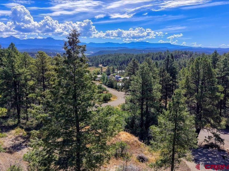 27 D Place Pagosa Springs CO 81147