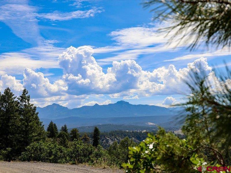 27 D Place Pagosa Springs CO 81147