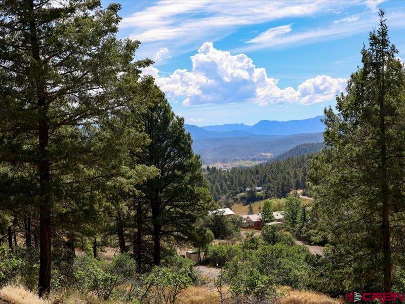 27 D Place Pagosa Springs CO 81147