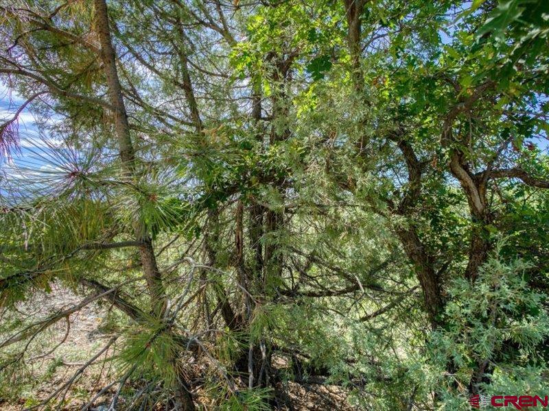 27 D Place Pagosa Springs CO 81147