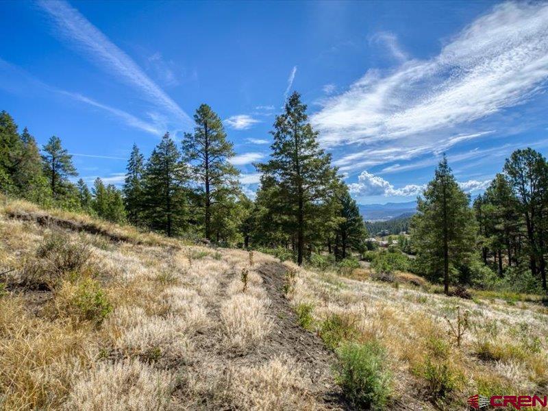 27 D Place Pagosa Springs CO 81147