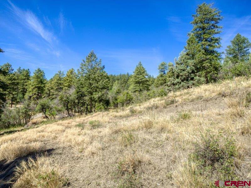 27 D Place Pagosa Springs CO 81147