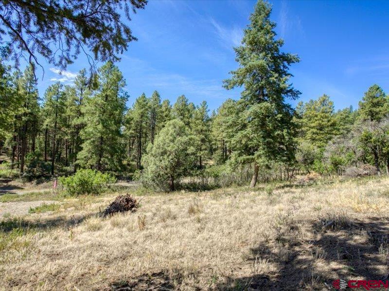 27 D Place Pagosa Springs CO 81147