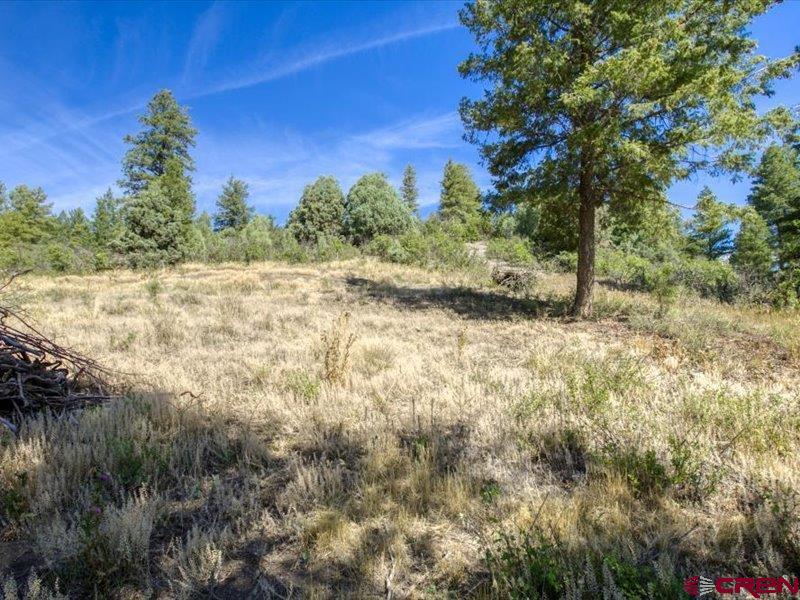 27 D Place Pagosa Springs CO 81147