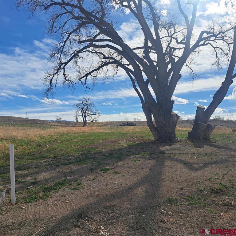 3803 Aspen Grove Lane Montrose CO 81401