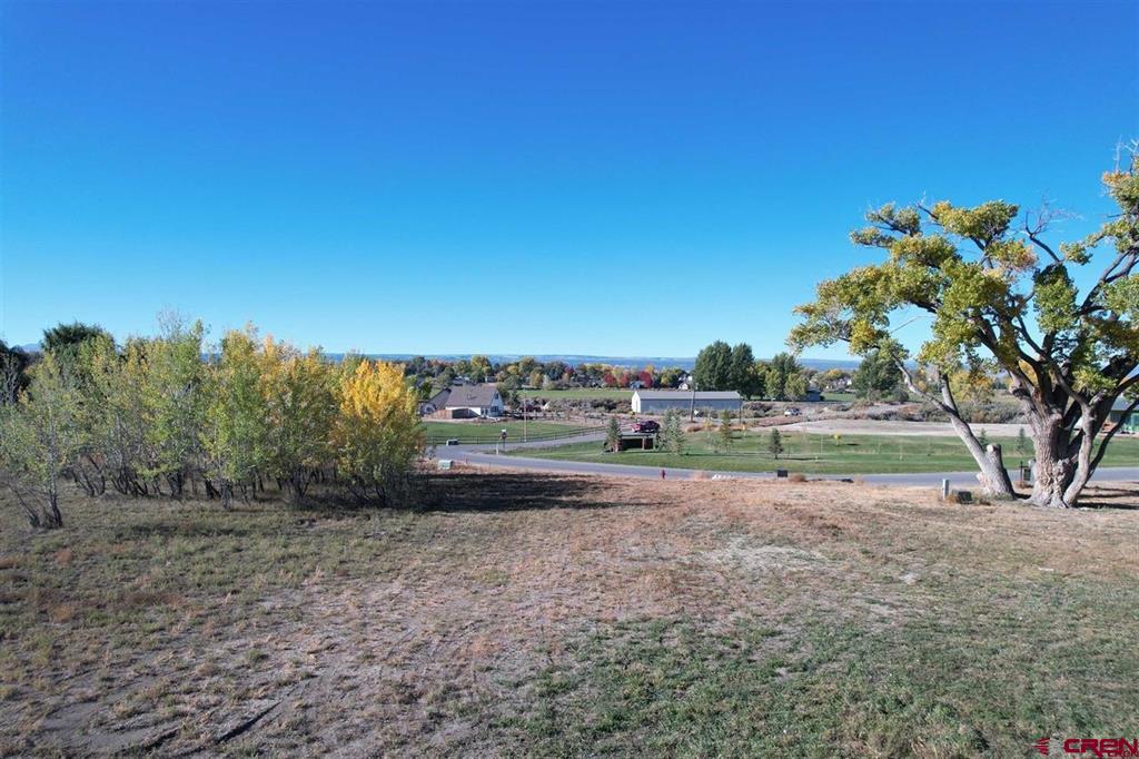 3803 Aspen Grove Lane Montrose CO 81401