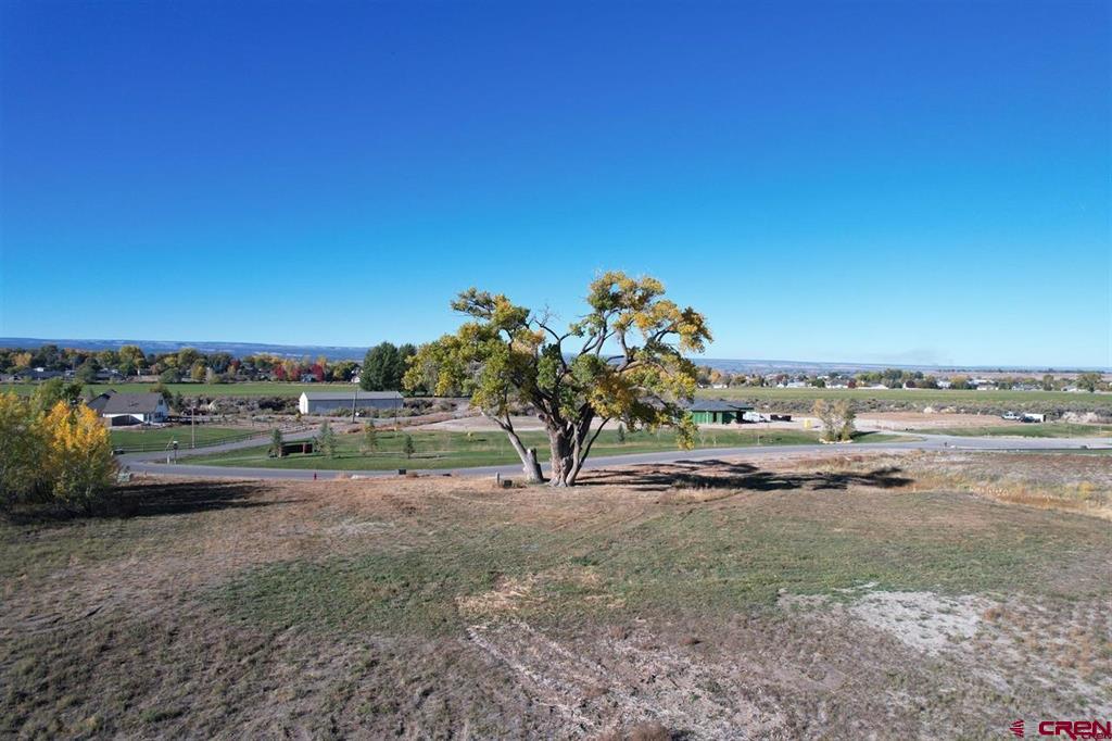 3803 Aspen Grove Lane Montrose CO 81401