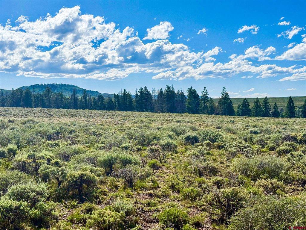 Tbd County Road 25 Road Gunnison CO 81243