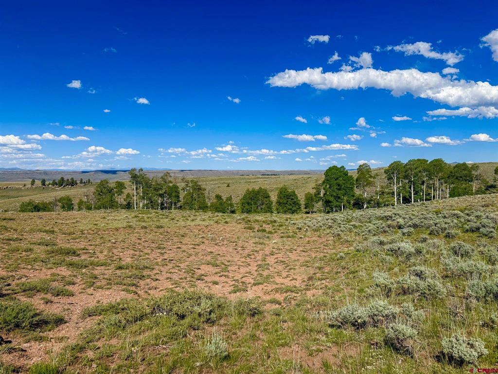 Tbd County Road 25 Road Gunnison CO 81243