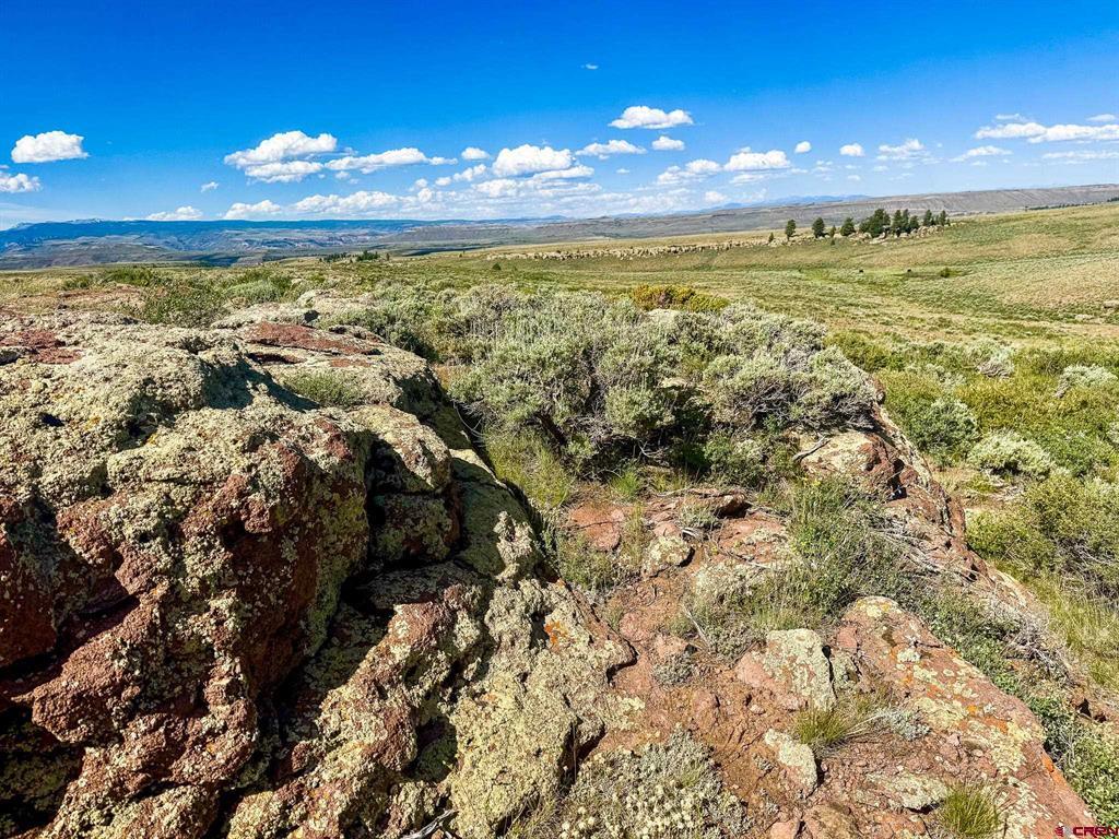 Tbd County Road 25 Road Gunnison CO 81243