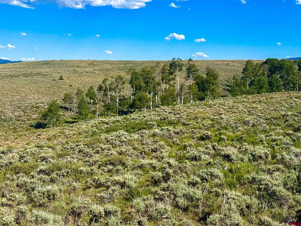 Tbd County Road 25 Road Gunnison CO 81243