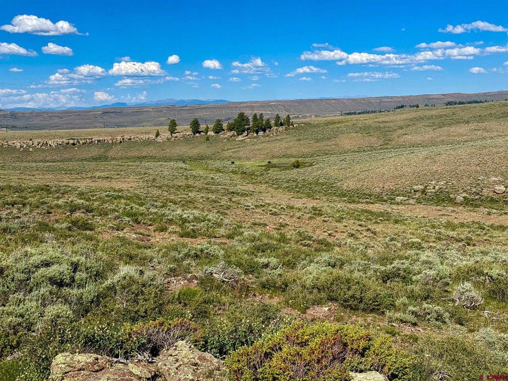 Tbd County Road 25 Road Gunnison CO 81243