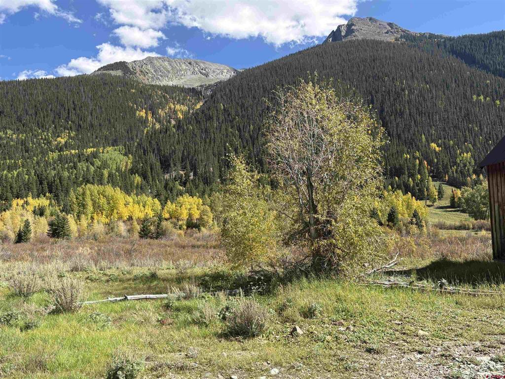 17TH & Animas Street Silverton CO 81433