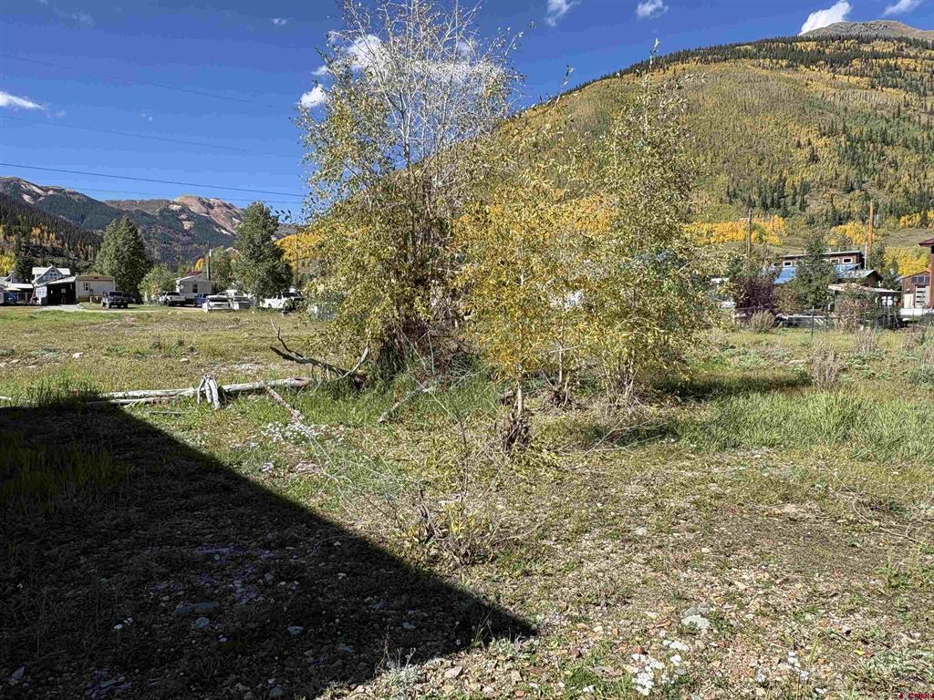 17TH & Animas Street Silverton CO 81433