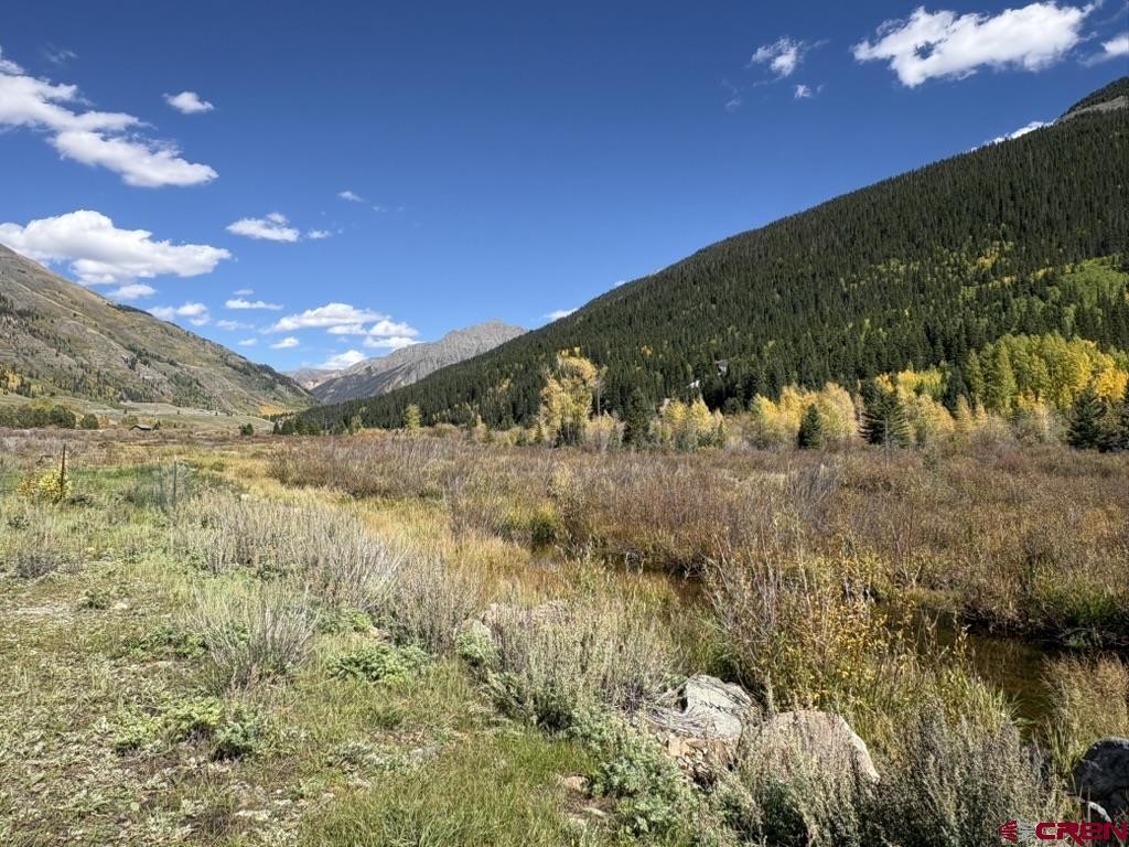 17TH & Animas Street Silverton CO 81433