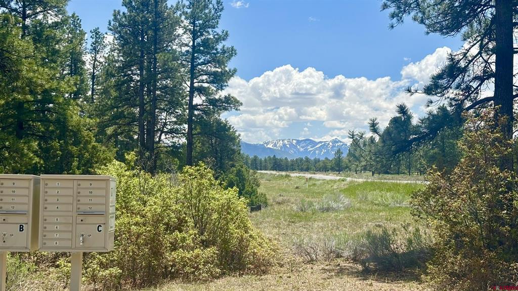 60 Fisher Canyon Court Ridgway CO 81432