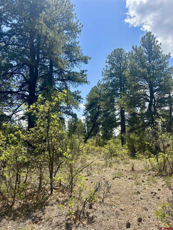60 Fisher Canyon Court Ridgway CO 81432