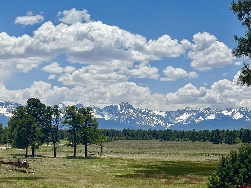 60 Fisher Canyon Court Ridgway CO 81432