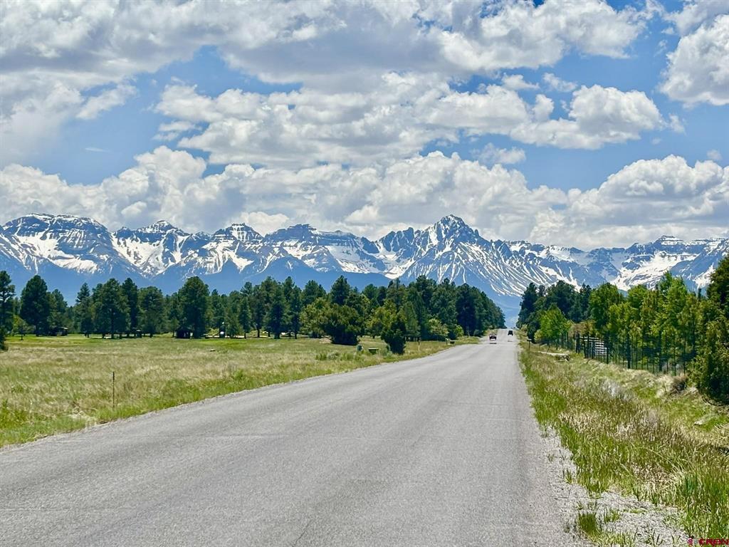 60 Fisher Canyon Court Ridgway CO 81432