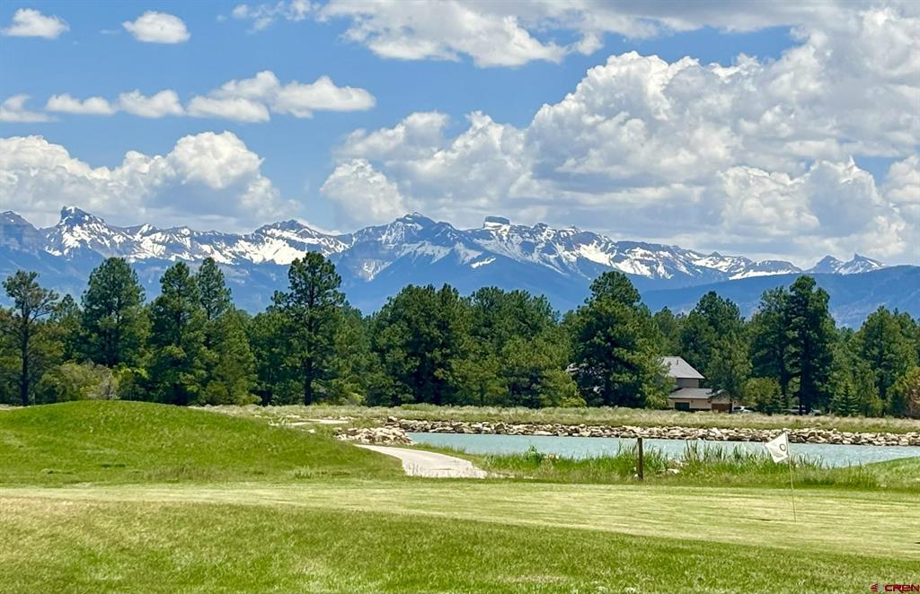 60 Fisher Canyon Court Ridgway CO 81432