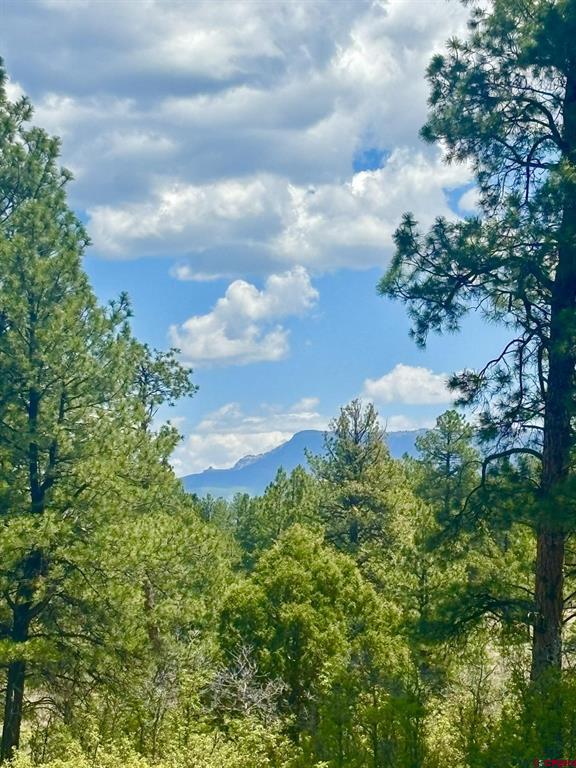 60 Fisher Canyon Court Ridgway CO 81432