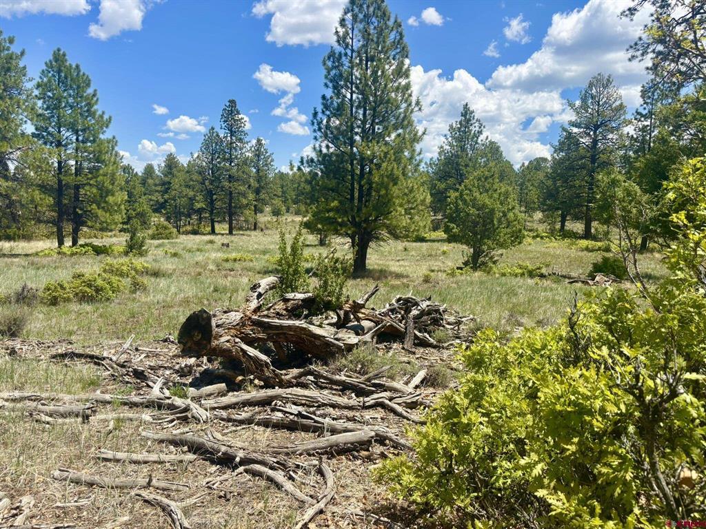 60 Fisher Canyon Court Ridgway CO 81432