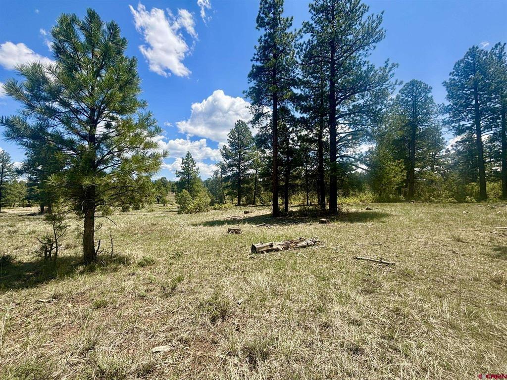 60 Fisher Canyon Court Ridgway CO 81432