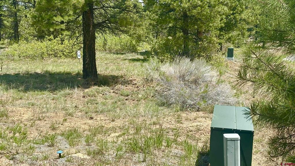 60 Fisher Canyon Court Ridgway CO 81432