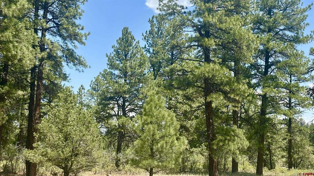 60 Fisher Canyon Court Ridgway CO 81432