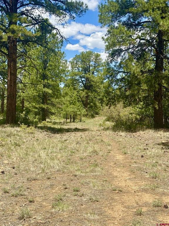 60 Fisher Canyon Court Ridgway CO 81432