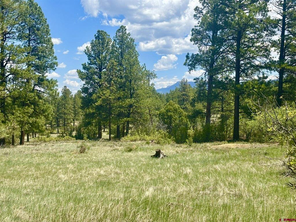 60 Fisher Canyon Court Ridgway CO 81432