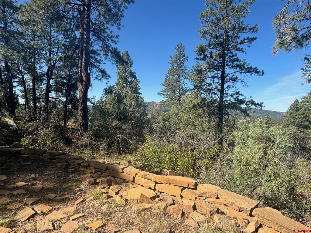 878 West View Road Pagosa Springs CO 81147