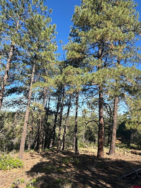 878 West View Road Pagosa Springs CO 81147