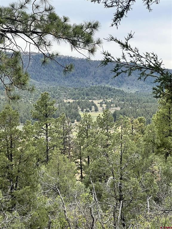 878 West View Road Pagosa Springs CO 81147