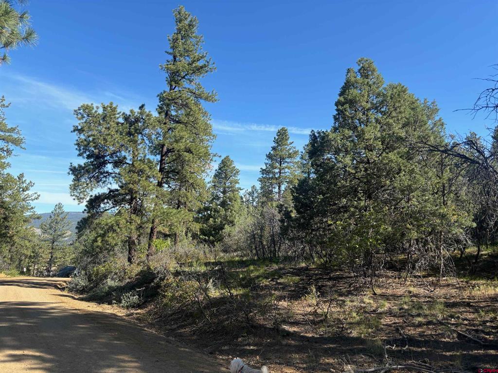878 West View Road Pagosa Springs CO 81147