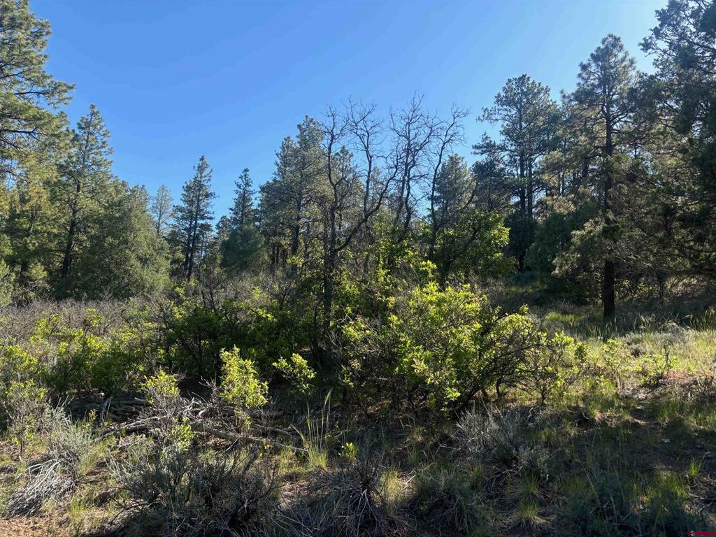 878 West View Road Pagosa Springs CO 81147