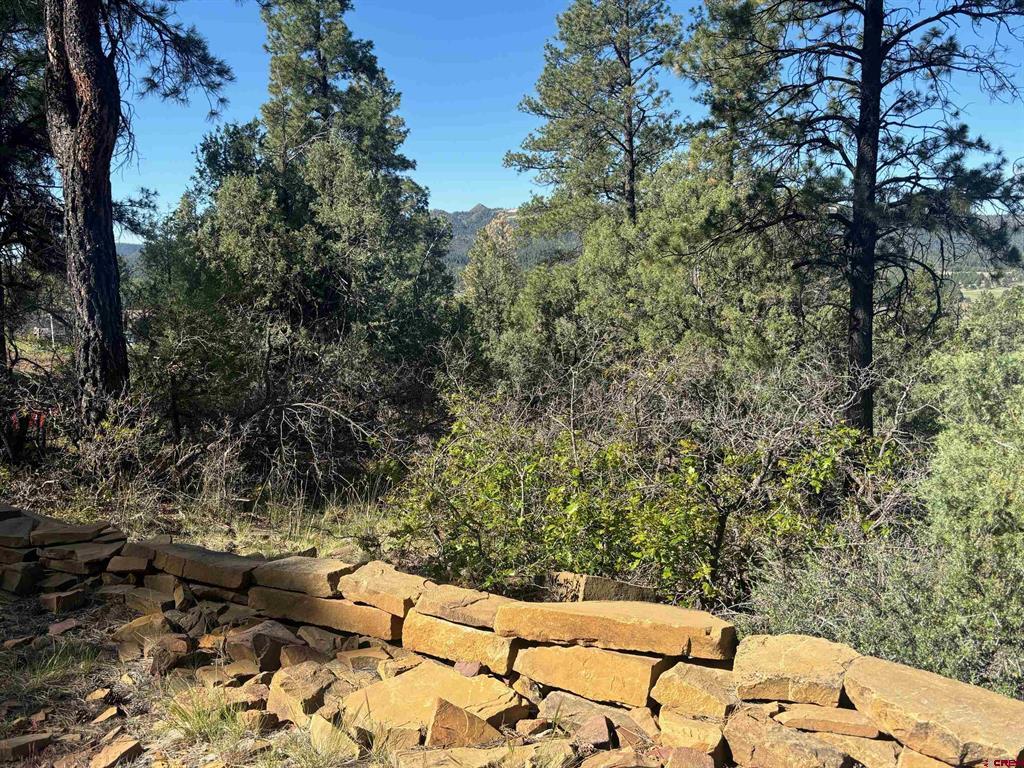 878 West View Road Pagosa Springs CO 81147