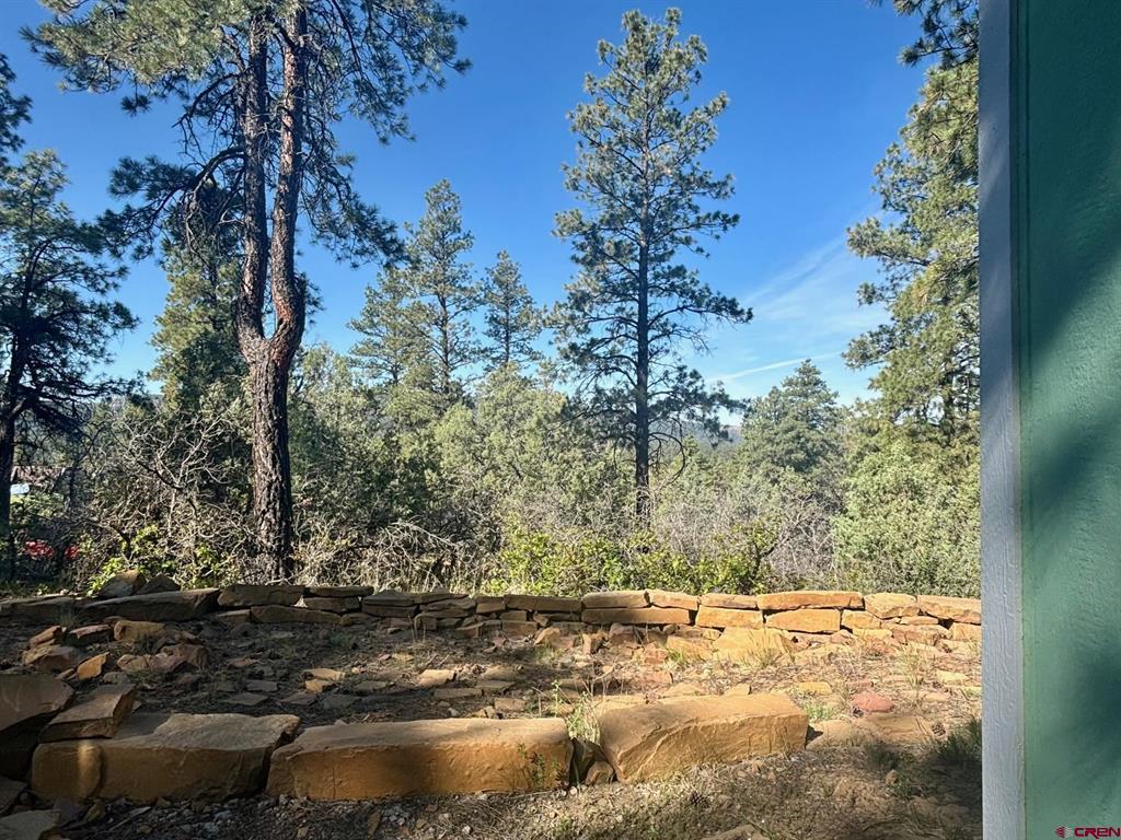 878 West View Road Pagosa Springs CO 81147