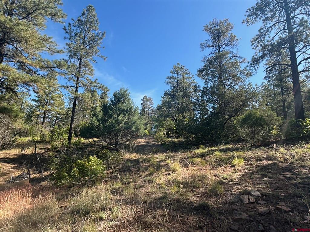 878 West View Road Pagosa Springs CO 81147