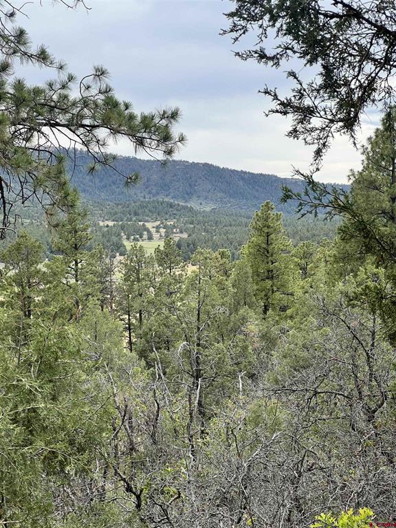 878 West View Road Pagosa Springs CO 81147
