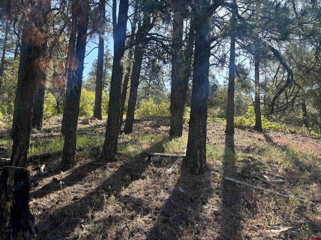 878 West View Road Pagosa Springs CO 81147