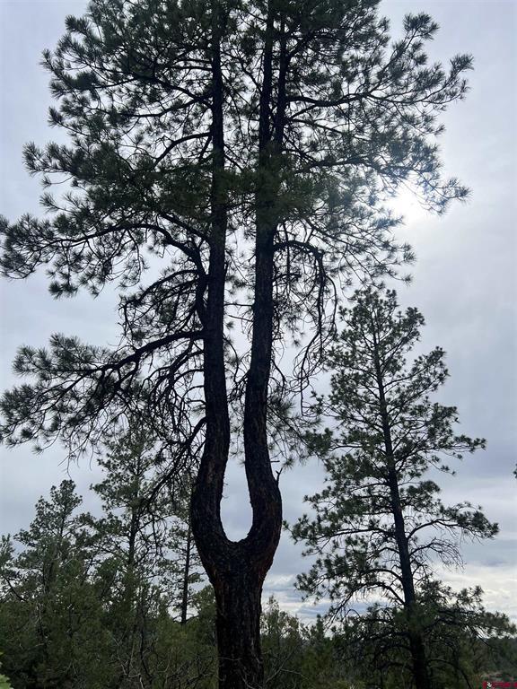 878 West View Road Pagosa Springs CO 81147