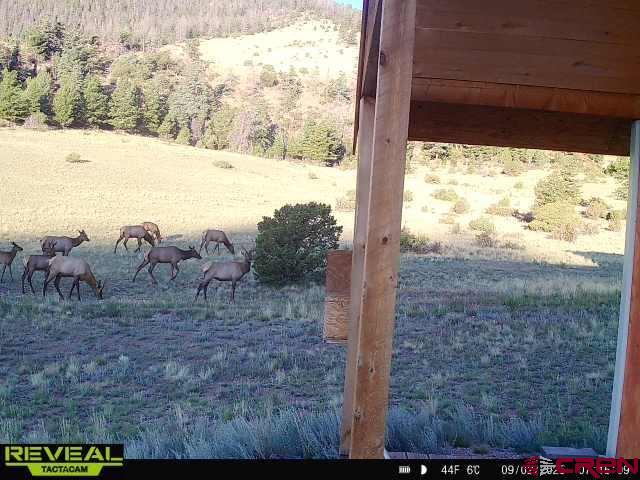 2009 County Road B-31 Del Norte CO 81132