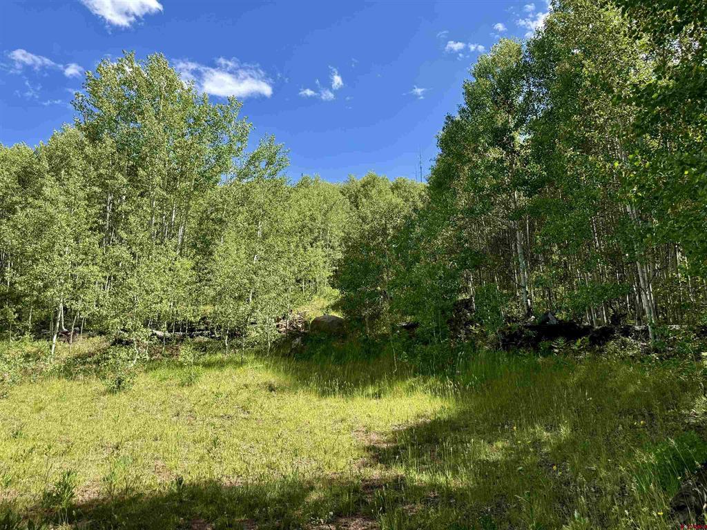 Tbd Cr 501 Bayfield CO 81122