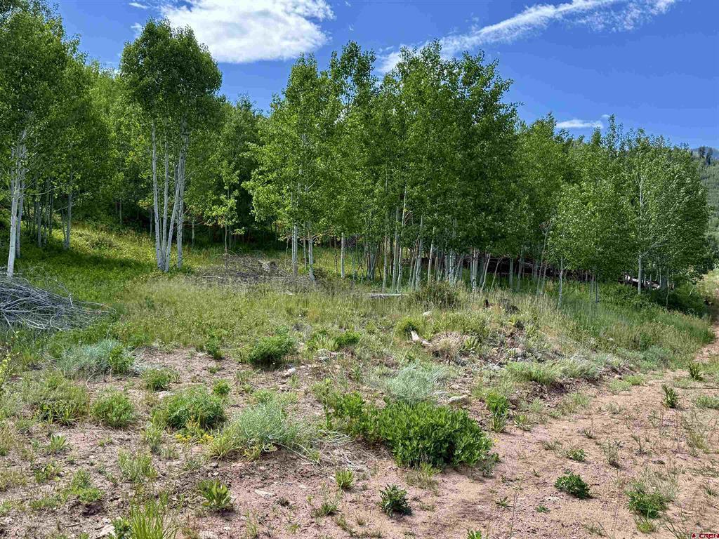 Tbd Cr 501 Bayfield CO 81122