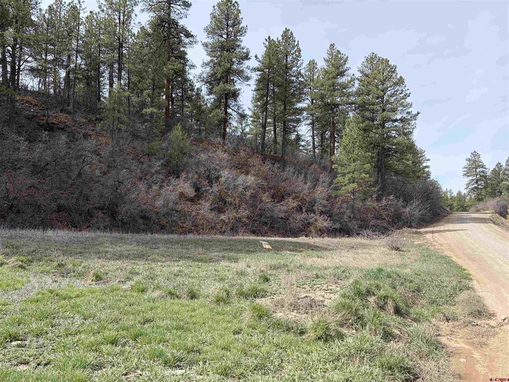 267 River Run Drive Pagosa Springs CO 81147