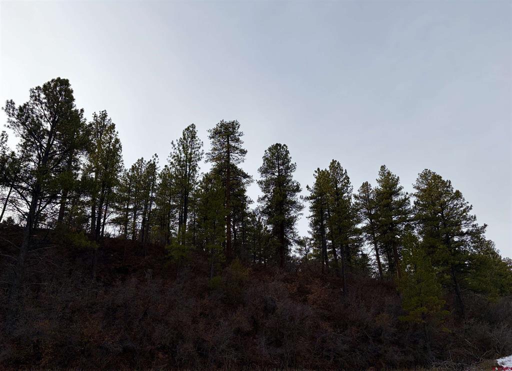 267 River Run Drive Pagosa Springs CO 81147
