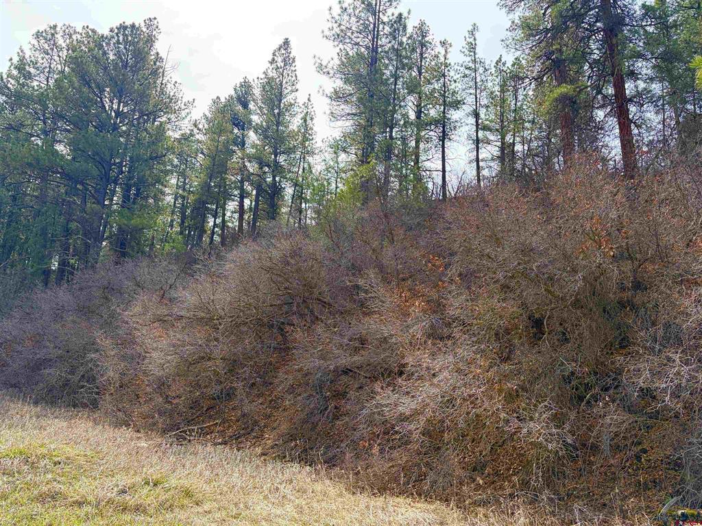267 River Run Drive Pagosa Springs CO 81147