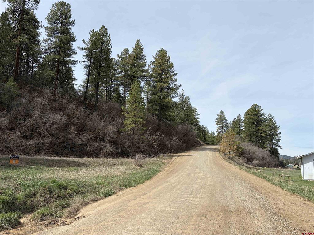 267 River Run Drive Pagosa Springs CO 81147